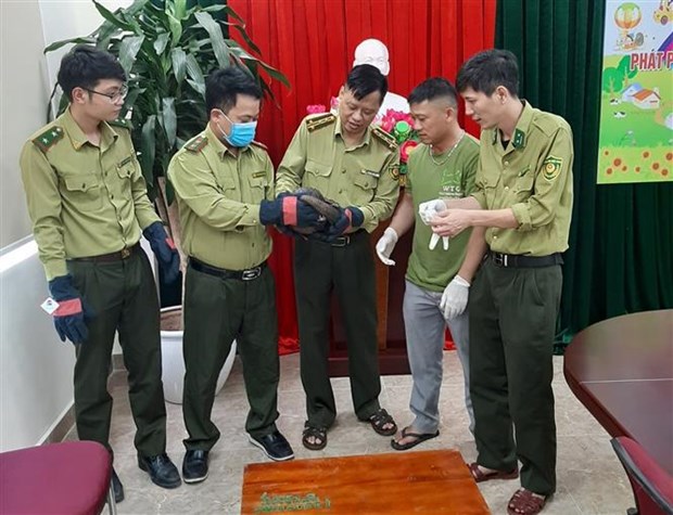 Parque Nacional Cuc Phuong recibe dos animales en el Libro Rojo de Vietnam hinh anh 2