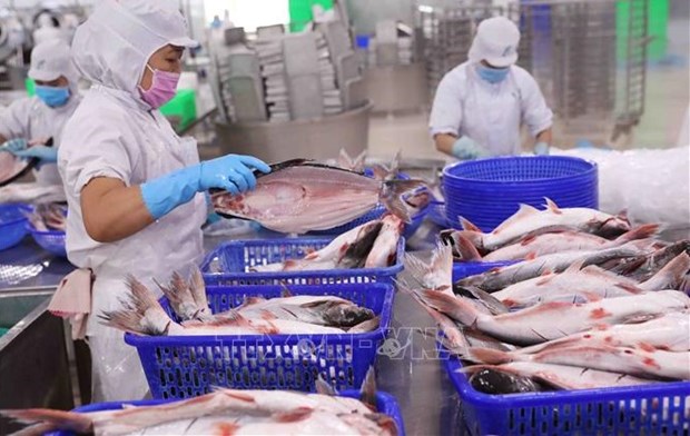 Exportacion de productos acuaticos vietnamitas aumenta en mayo hinh anh 1