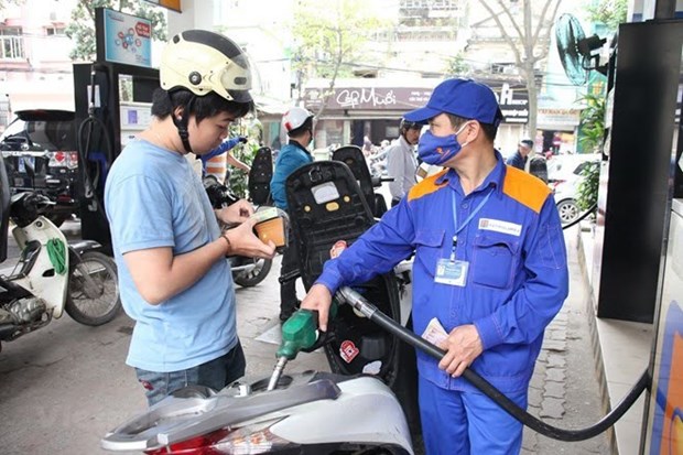 Diputado vietnamita pide la flexibilidad para controlar precios de combustibles hinh anh 1