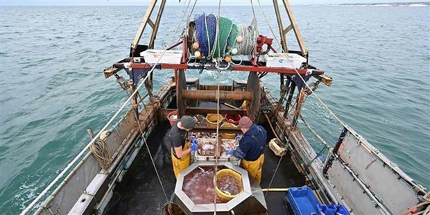 Indonesia y Corea de Sur fortalecen cooperacion maritima y de pesca hinh anh 1