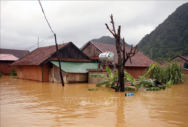 Desastres naturales siguen complicados e impredecibles en Vietnam en 2022 hinh anh 1