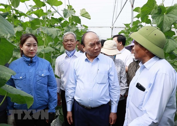 Presidente de Vietnam destaca rol de personas mayores en sociedad hinh anh 1