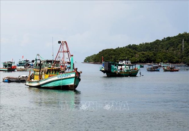 Enormes potencialidades de Vietnam para el desarrollo de la economia azul hinh anh 2