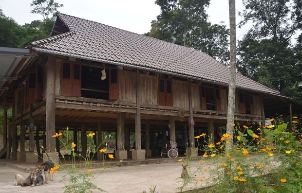 Palafitos antiguos de cientos de anos en provincia centrovietnamita de Nghe An hinh anh 1