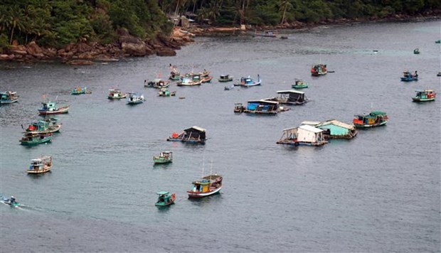 Provincia vietnamita concentra recursos en desarrollo de infraestructura pesquera hinh anh 1