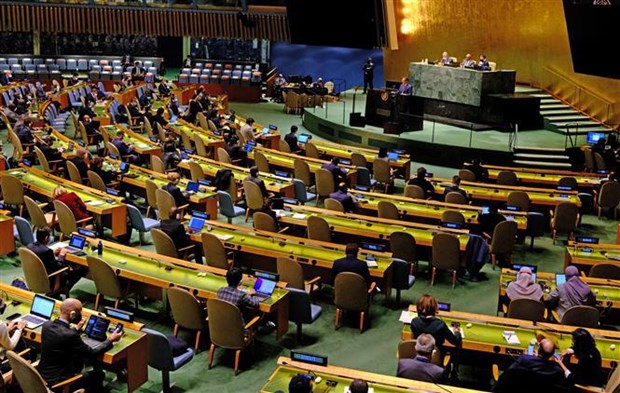 Vietnam se esfuerza por contribuir a actividades de Asamblea General de ONU hinh anh 1