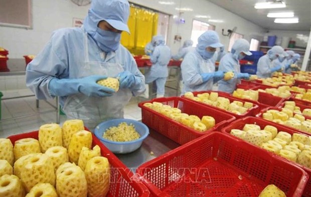 Vietnam y Japon amplian su cooperacion a cadenas de cultivos seguros hinh anh 1