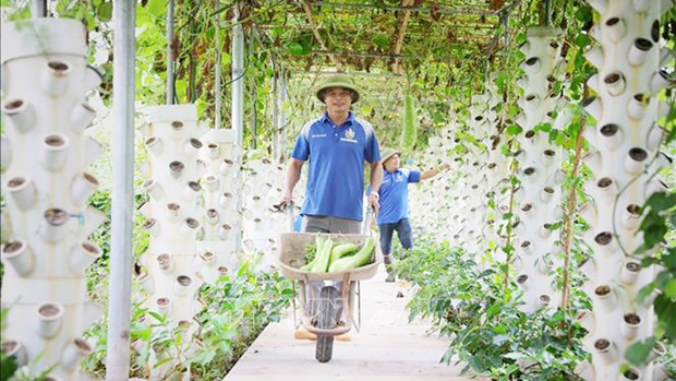 Bac Giang aumenta el valor de la produccion agricola hinh anh 1