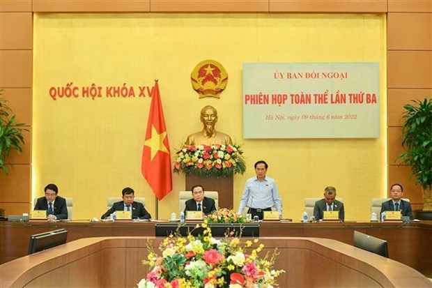 Elogian labores de relaciones exteriores del Parlamento vietnamita hinh anh 1