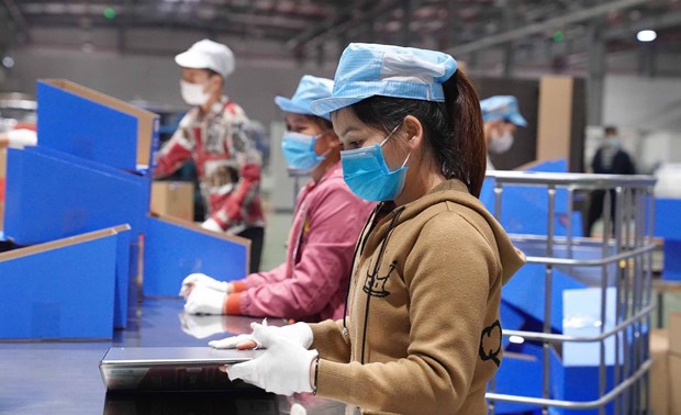 Suministraran libreta electronica de trabajo a millones de empleados vietnamitas hinh anh 1