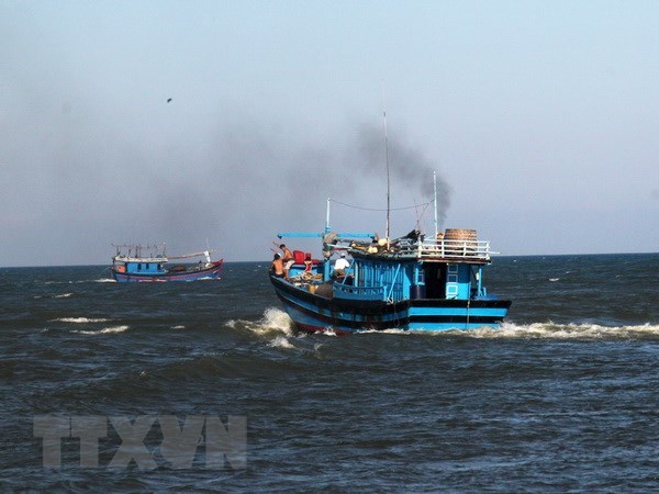 Pescadores vietnamitas dicen “No” a la pesca ilegal hinh anh 1