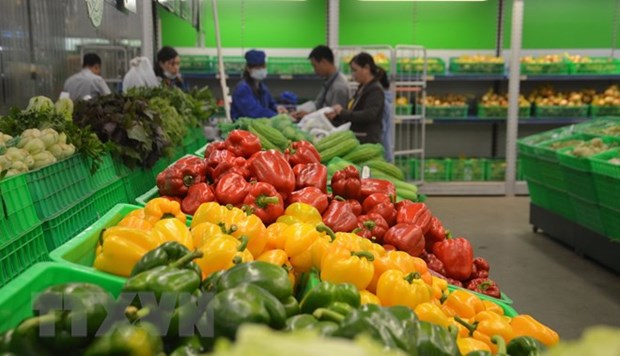 Exportaciones hortofruticolas de Vietnam alcanzan 1,4 mil millones de dolares hinh anh 1