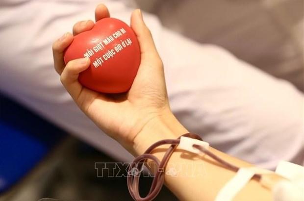 Vietnam celebrara en agosto evento para honrar a 100 donantes destacados de sangre hinh anh 1