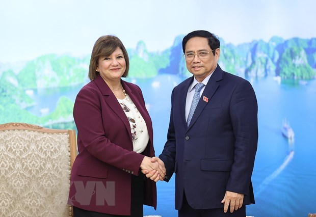 Primer ministro de Vietnam recibe a embajadores de Egipto y Mongolia hinh anh 1