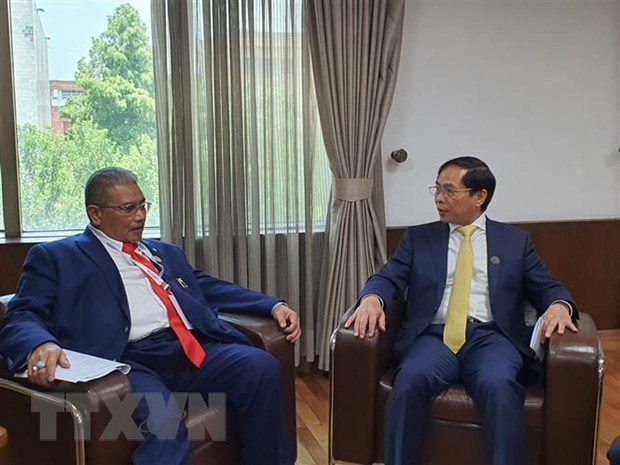 Vietnam refuerza nexos con Indonesia y Brunei hinh anh 2