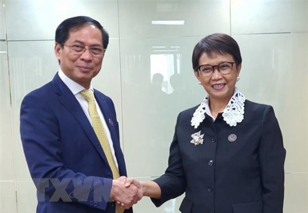Vietnam refuerza nexos con Indonesia y Brunei hinh anh 1
