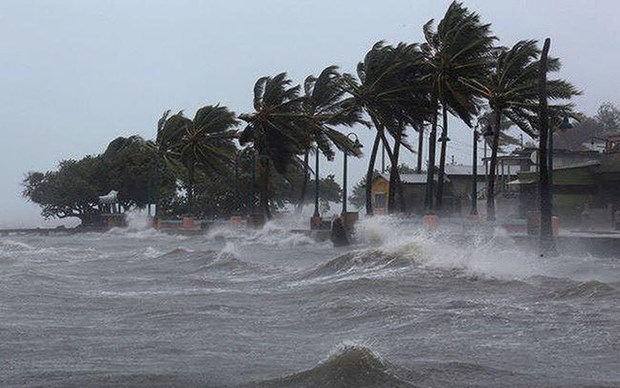 Sufrira Vietnam unos seis ciclones en ultimos meses de 2022 hinh anh 1