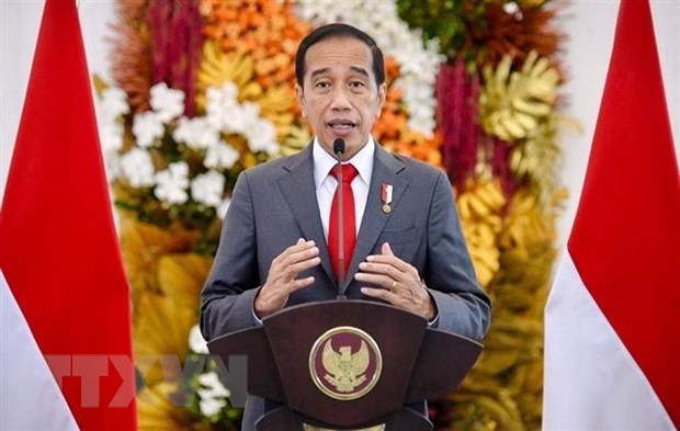 Presidente de Indonesia reorganiza gabinete hinh anh 1