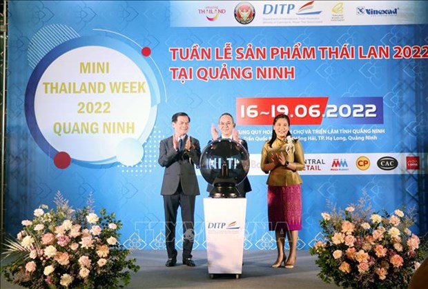 Celebran por primera vez Semana de productos tailandeses en provincia vietnamita hinh anh 1