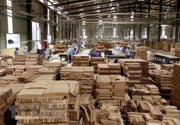 Vietnam emitira en 2025 licencia FLEGT para exportaciones madereras a la UE hinh anh 1
