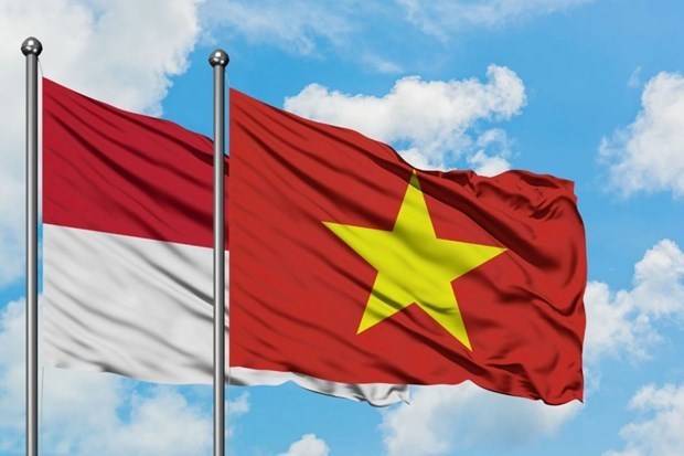 Empresas vietnamitas estudian oportunidades de negocios en Indonesia hinh anh 1