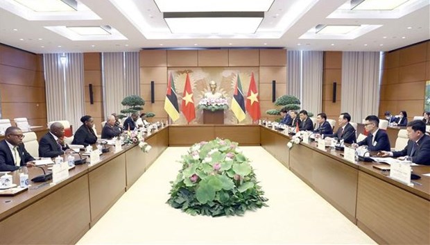 Presidente del Parlamento vietnamita sostiene conversacion con su homologa mozambiquena hinh anh 1