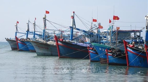 Apoyan a empresas vietnamitas en combate contra la pesca ilegal hinh anh 1