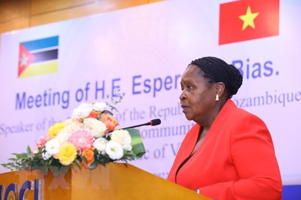 Mozambique - puerta de entrada para empresas vietnamitas al mercado surafricano hinh anh 1