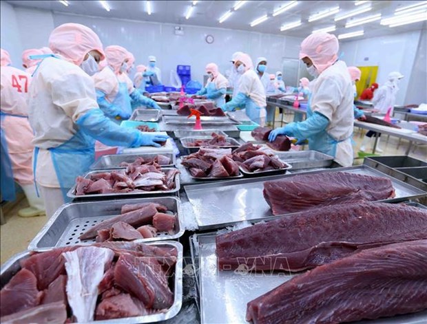 Exportaciones de atun vietnamita a Canada tienden a aumentar hinh anh 1