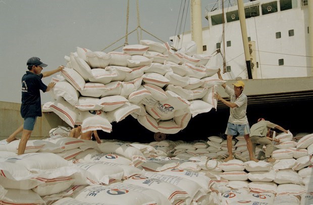 Indonesia exportara 200 mil toneladas de arroz el proximo mes hinh anh 1