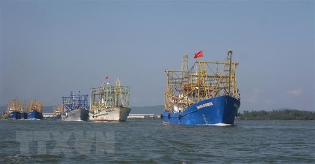 Piden a China respetar soberania de Vietnam sobre archipielago de Hoang Sa hinh anh 1