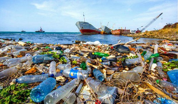 Lanzan centro de innovacion para reducir desechos plasticos en Vietnam hinh anh 1