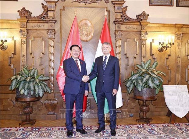 Vietnam, socio importante de Hungria en el Sudeste Asiatico hinh anh 2