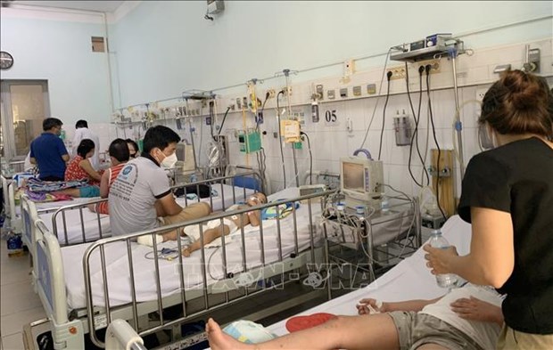 Vietnam impulsa acciones contra dengue hinh anh 1