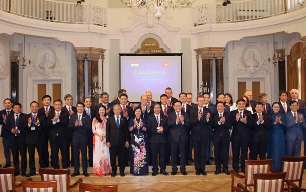 Vietnam y Hungria fomentan cooperacion en educacion hinh anh 1