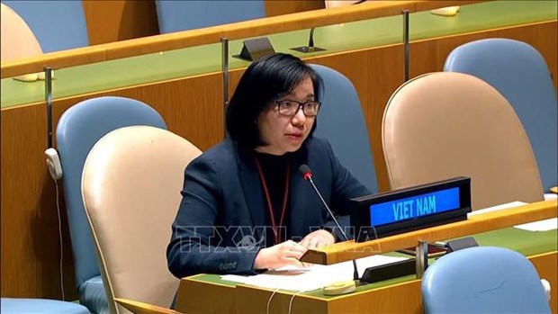 Vietnam asegura gestion de armas pequenas y ligeras segun programa de ONU hinh anh 1