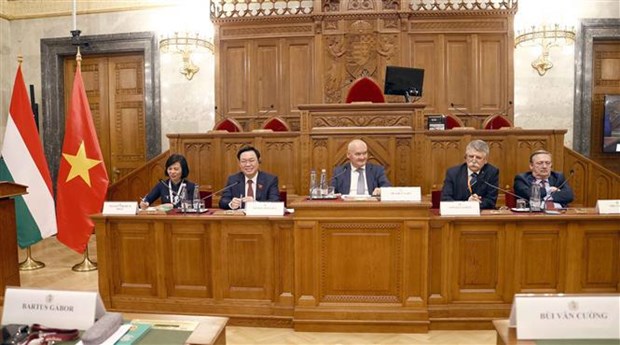 Vietnam y Hungria debaten sobre perfeccionamiento del marco juridico de economia verde hinh anh 1