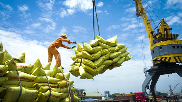 Vietnam busca aumentar exportaciones de arroz de alta calidad a mercado de ASEAN hinh anh 1
