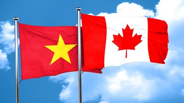 Fomentan relaciones de cooperacion entre Vietnam y Canada hinh anh 1