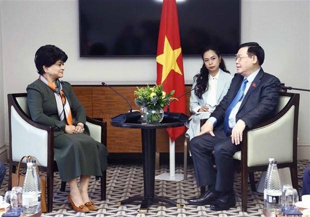 Titular del Parlamento vietnamita recibe a dirigentes de grupos britanicos hinh anh 2