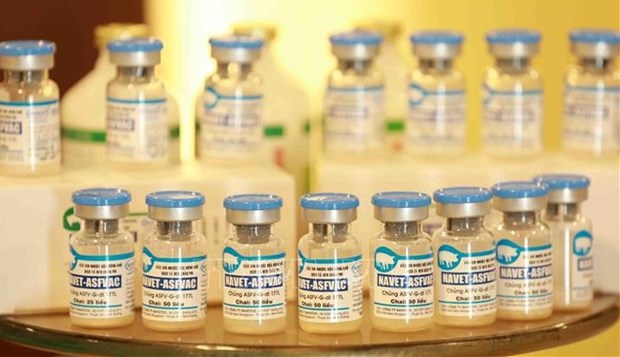 Prensa alemana aprecia avance de Vietnam en produccion de vacuna contra PPA hinh anh 2