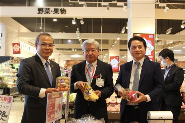 Aumentan presencia de productos vietnamitas en Japon hinh anh 2