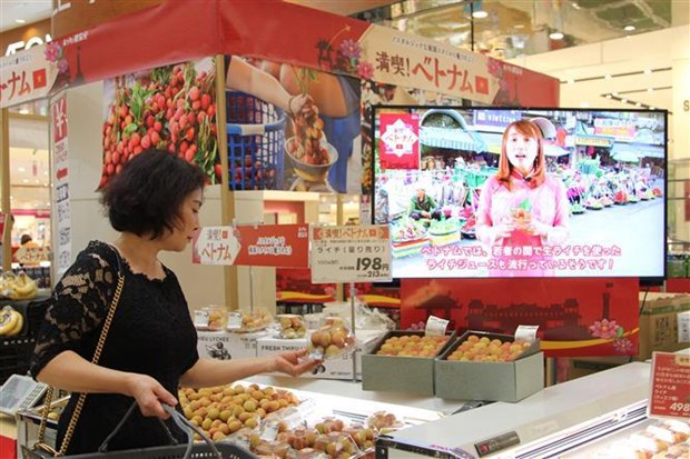Aumentan presencia de productos vietnamitas en Japon hinh anh 1