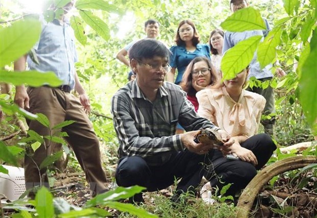 Liberan en Vietnam 58 ejemplares de animales salvajes al habitat natural hinh anh 1