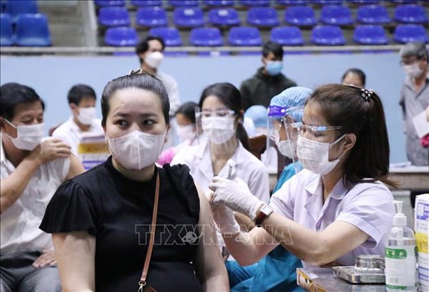Vietnam notifica 685 nuevos casos de COVID-19 hinh anh 1