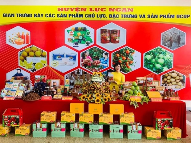 Provincia vietnamita de Bac Giang promueve consumo y exportacion de lichi hinh anh 1