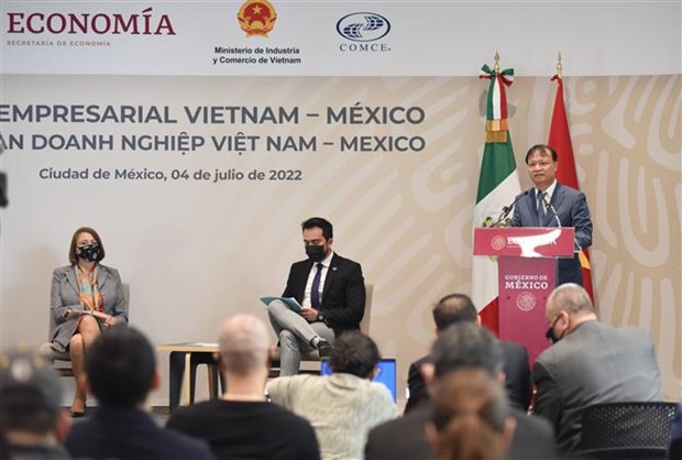 Vietnam, mercado estrategico de Mexico en Asia-Pacifico hinh anh 1