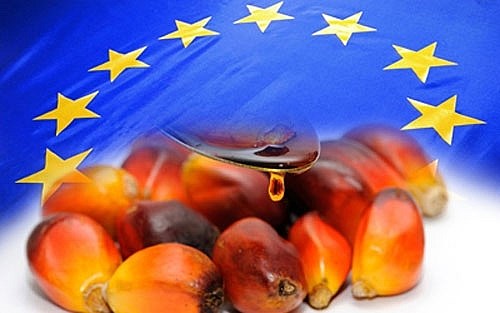 ASEAN y UE promueven cooperacion en industria de aceite de palma hinh anh 1