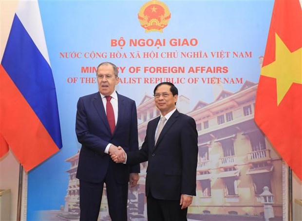 Canciller vietnamita sostiene conversaciones con su homologo ruso hinh anh 1