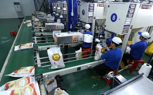 Vietnam impulsa exportacion de arroz de alta calidad hinh anh 1